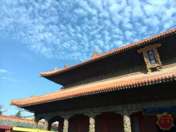 山东小城，温馨日常掠影