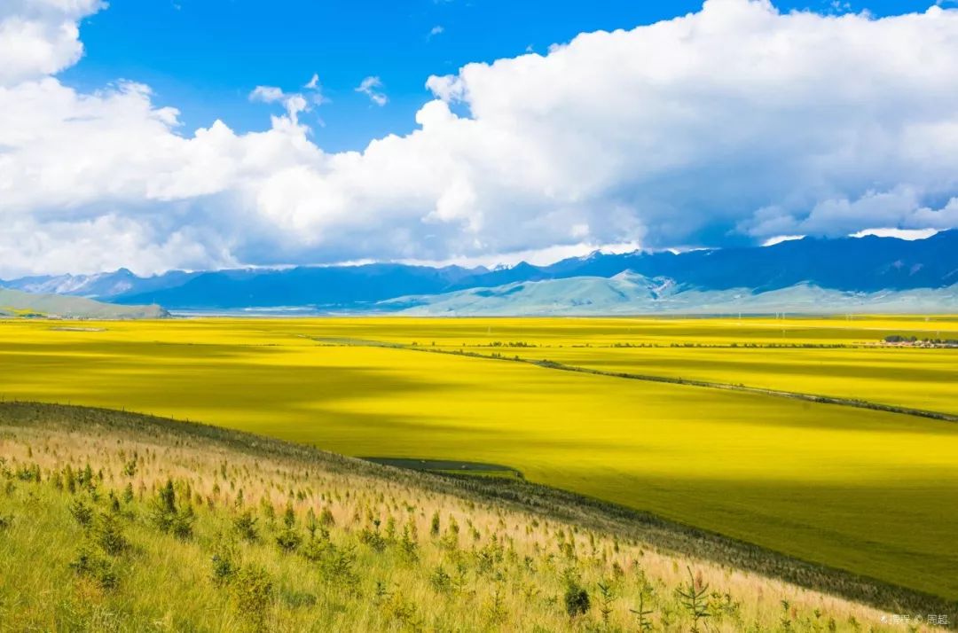 青海探索之旅，详细步骤指南，适合初学者与进阶用户