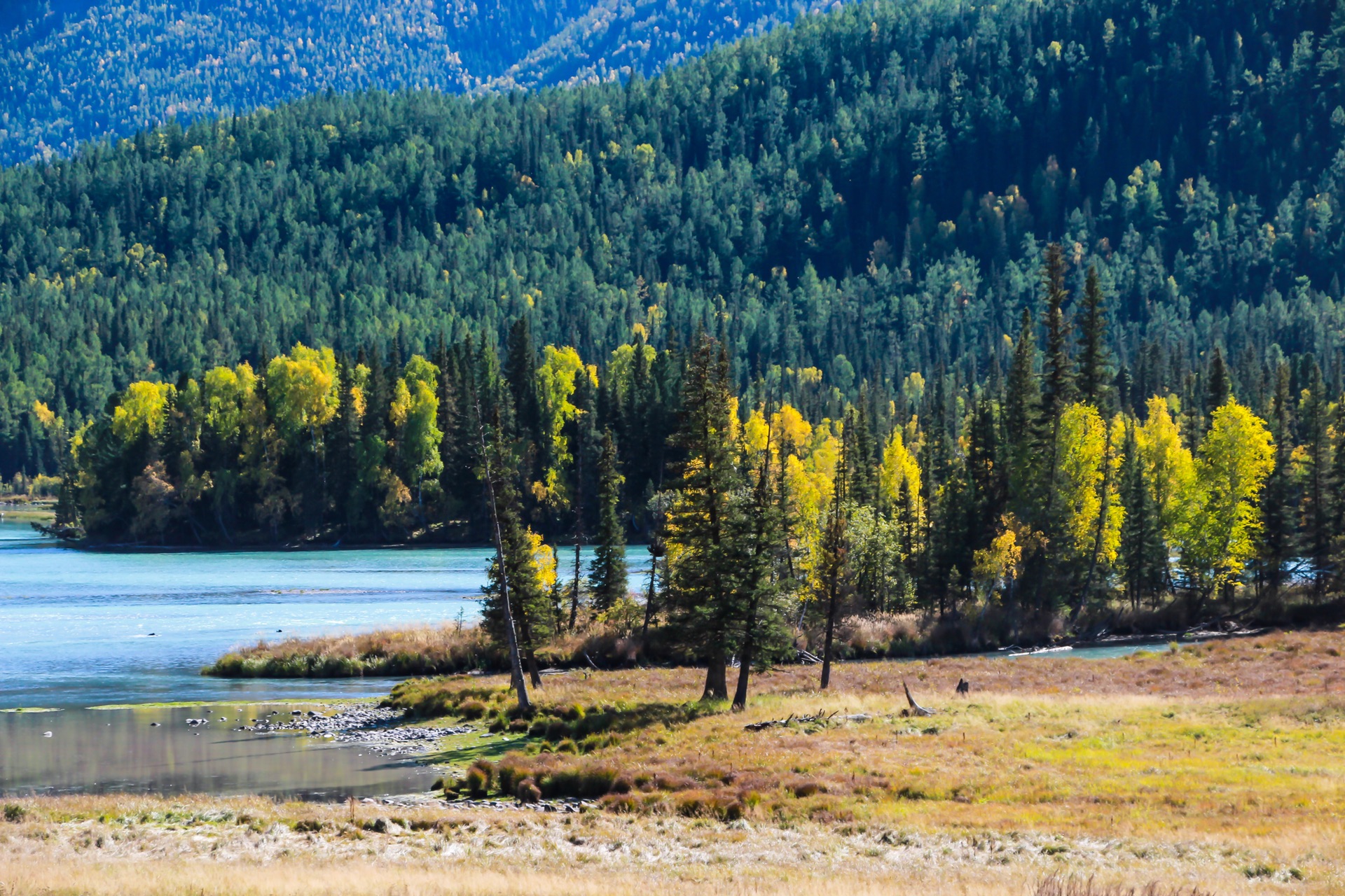 新疆小巷深处的秘密花园，探秘新疆特色小店